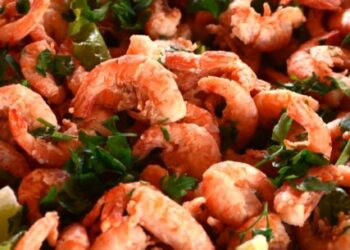 Fundacc abre edital de patrocínio cultural para o Festival do Camarão