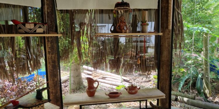 Exposição ‘Desfolhar de Outono: Povos Originários’ é atração no Espaço Hartãt Acervo Indígena