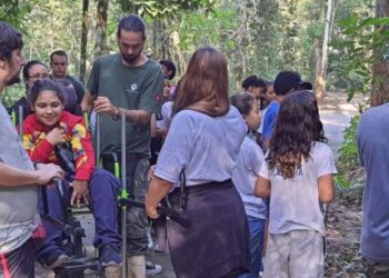 Com percurso acessível, Projeto A’s Atlântica proporciona contato com aves da Mata Atlântica