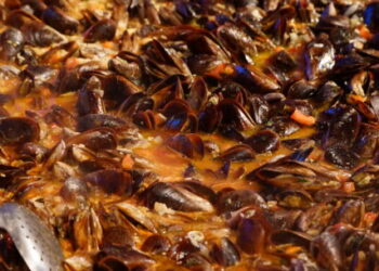 2º Festival Saberes e Sabores Caiçaras promete movimentar mais de R$ 1,5 milhão em vendas entre 11 e 14 de maio