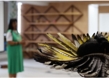 Museu das Culturas Indígenas celebra a Mata Atlântica com nova exposição e atrações para todas as idades 