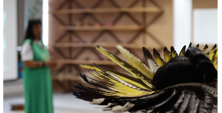 Museu das Culturas Indígenas celebra a Mata Atlântica com nova exposição e atrações para todas as idades 