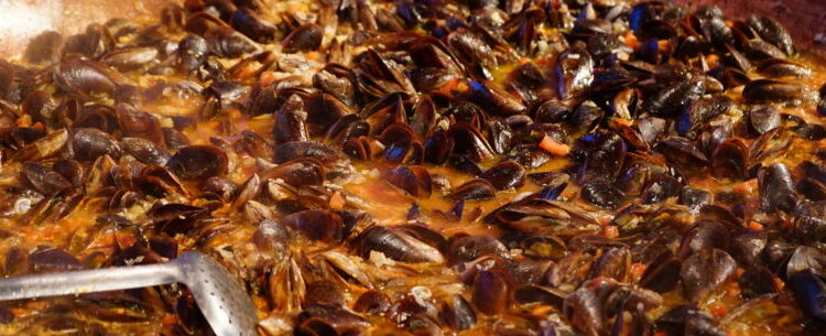 2º Festival Saberes e Sabores Caiçaras promete movimentar mais de R$ 1,5 milhão em vendas