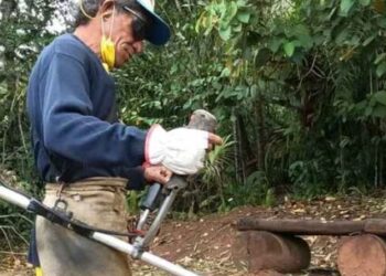 Prefeitura de Caraguatatuba aguarda mais 30 bolsistas do PEAD na próxima semana