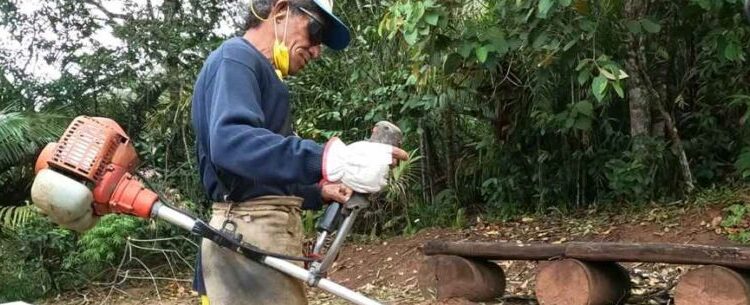 Prefeitura de Caraguatatuba aguarda mais 30 bolsistas do PEAD na próxima semana