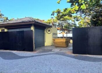 Prefeitura inicia revitalização da vegetação da Martim de Sá com substituição de árvores de espécies exóticas por nativas