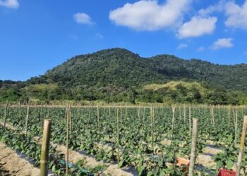 Prefeitura de Caraguatatuba promove encontro sobre Cadastro Ambiental Rural