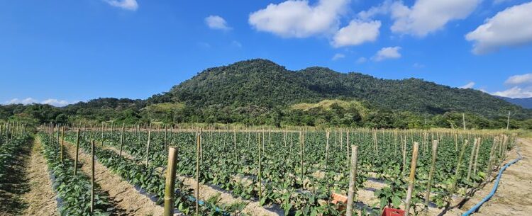 Prefeitura de Caraguatatuba promove encontro sobre Cadastro Ambiental Rural
