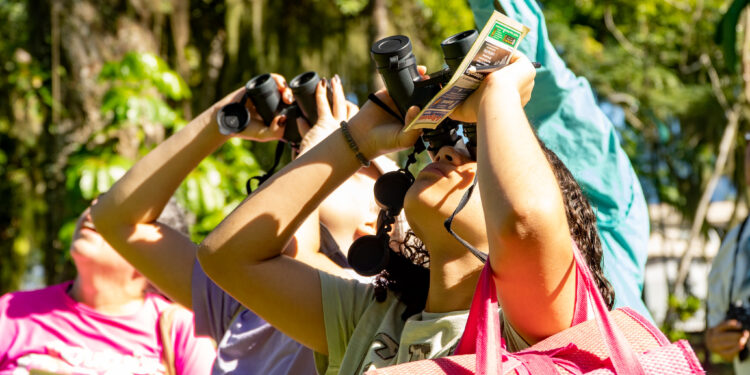 Festival ‘Oceane-se na Mata Atlântica’ é marcado por reflexão e aprendizados