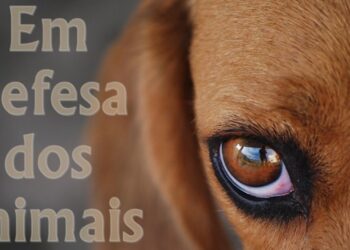 A causa da defesa animal ganhará reforço importante com a criação da Frente Parlamentar de Proteção dos Animais amanhã, na Alesp