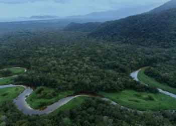 Conselho Estadual do Meio Ambiente convoca audiência publica para discutir limites do PERB