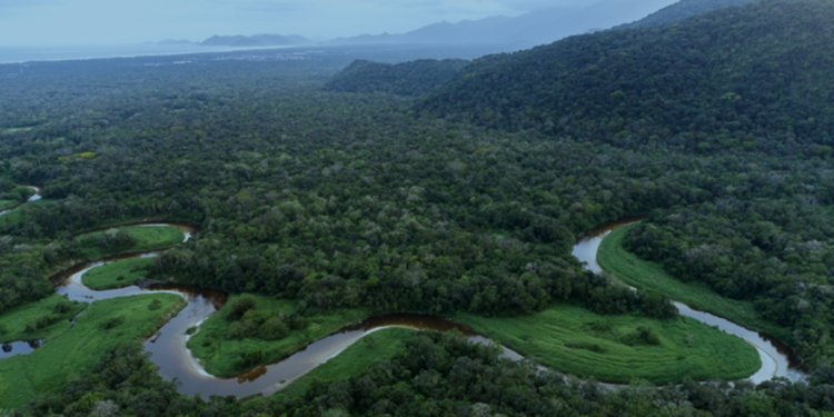 Conselho Estadual do Meio Ambiente convoca audiência publica para discutir limites do PERB