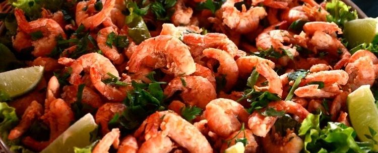 Abertura do 24º Festival do Camarão é nesta terça-feira