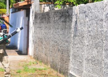 Caraguatatuba continua em estado de alerta para infestação do mosquito Aedes aegypti