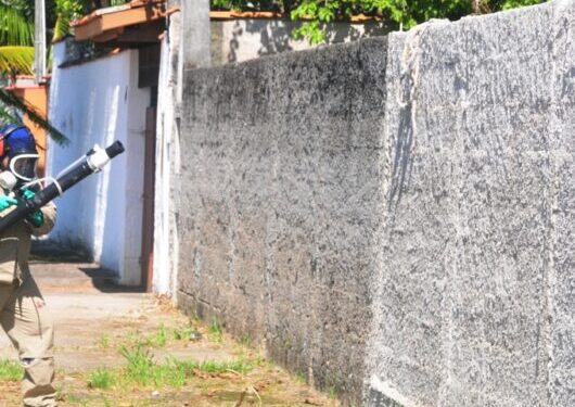 Caraguatatuba continua em estado de alerta para infestação do mosquito Aedes aegypti