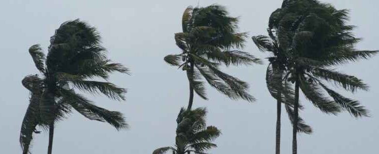 Defesa Civil alerta para ventos fortes e chuva na região nos próximos dias