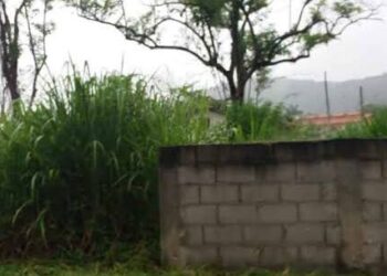Prefeitura de Caraguatatuba implementa nova lei para limpeza e construção de muros em terrenos