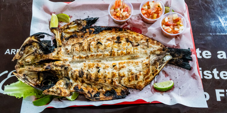 Festa da Tainha de Bertioga encerra neste final de semana; confira os horários