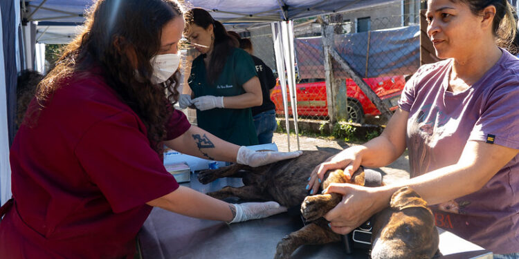 Castramóvel atenderá pets do Morada da Praia entre 11 e 13 de julho