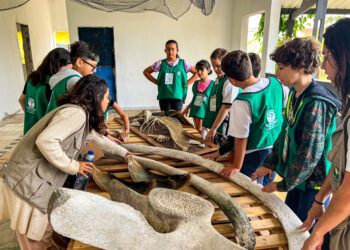 Curso “Oceane-se com os Animais Marinhos” começa: Descobrindo a Vida no Oceano e Conscientizando Crianças