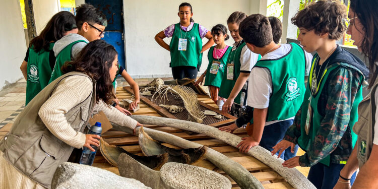 Curso “Oceane-se com os Animais Marinhos” começa: Descobrindo a Vida no Oceano e Conscientizando Crianças