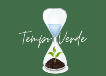 Tempo Verde Terrários 
