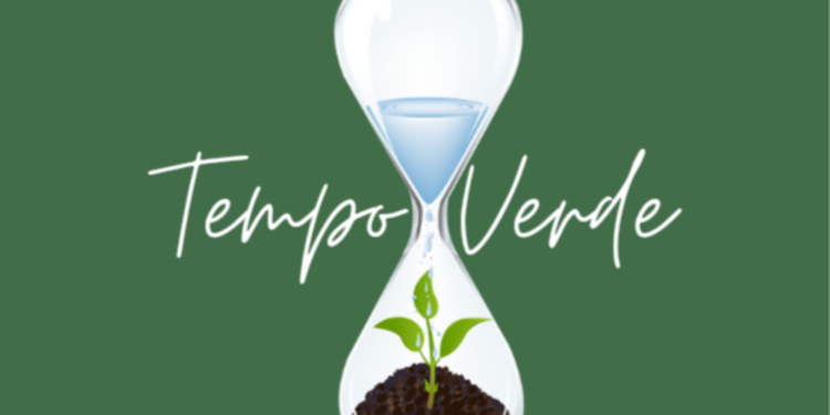 Tempo Verde Terrários 