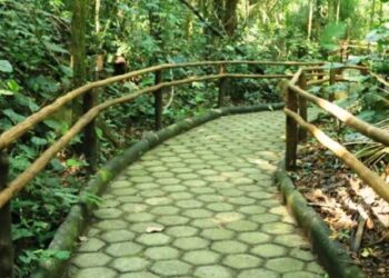 Núcleo Caraguatatuba do Parque Estadual Serra do Mar abre vagas para formação de monitores ambientais
