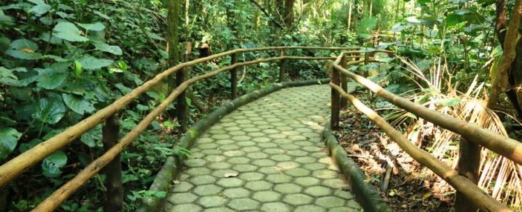 Núcleo Caraguatatuba do Parque Estadual Serra do Mar abre vagas para formação de monitores ambientais