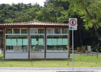 Prefeitura de Caraguatatuba realiza reflorestamento do Parque Natural Juqueriquerê