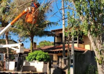 Prefeitura de Caraguatatuba realiza poda de árvores na Região Norte