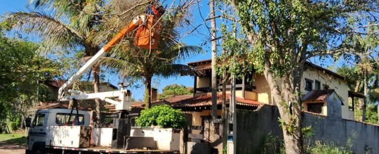 Prefeitura de Caraguatatuba realiza poda de árvores na Região Norte