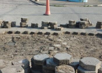 Prefeitura realiza manutenção de vias e poda de árvores para melhorar infraestrutura urbana