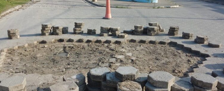 Prefeitura realiza manutenção de vias e poda de árvores para melhorar infraestrutura urbana