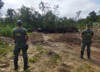Bertioga segue realizado força Força-Tarefa que visa garantir o equilíbrio do meio ambiente
