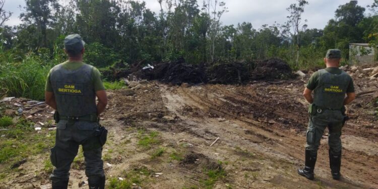 Bertioga segue realizado força Força-Tarefa que visa garantir o equilíbrio do meio ambiente