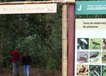 Trilha da Capivara é aberta ao público no Parque Natural Juqueriquerê