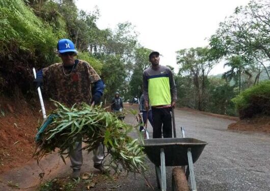 Prefeitura convoca mais bolsistas do PEAD para reforço na manutenção urbana