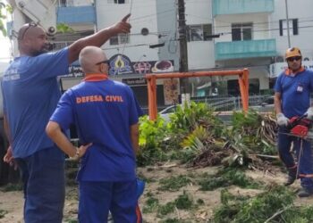 Prefeitura interdita parquinho na Praça Diógenes Ribeiro de Lima devido ao risco de queda iminente de árvore