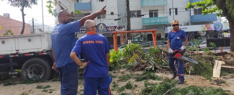 Prefeitura interdita parquinho na Praça Diógenes Ribeiro de Lima devido ao risco de queda iminente de árvore