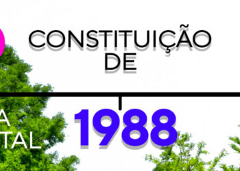 Demarcação das terras indígenas e a inconstitucionalidade da indenização pela terra nua