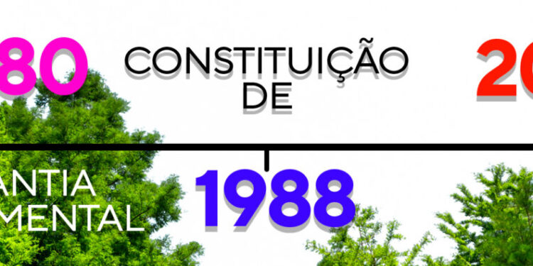 Demarcação das terras indígenas e a inconstitucionalidade da indenização pela terra nua
