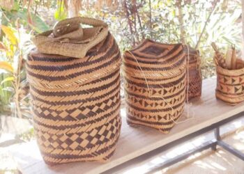 Espaço Hartãt Acervo Indígena celebra nova estação com a mostra ‘Florescer da Primavera: Povos Originários’