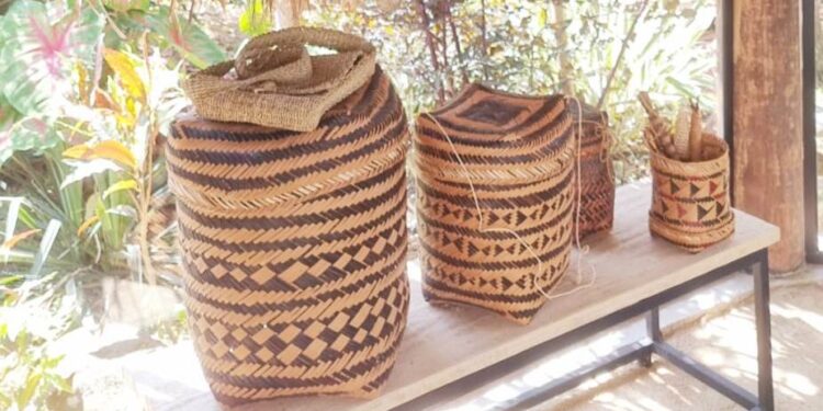 Espaço Hartãt Acervo Indígena celebra nova estação com a mostra ‘Florescer da Primavera: Povos Originários’