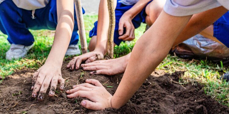 Dia da Árvore: Secretaria de Meio Ambiente doa mais de 500 mudas