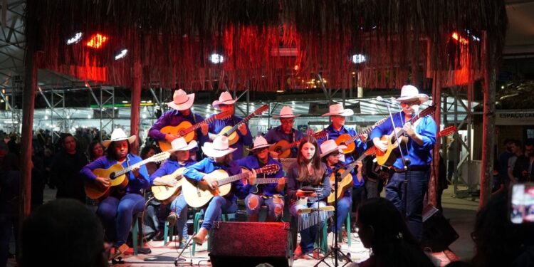 Orquestra de Viola se apresenta no Coreto  nesta sexta-feira
