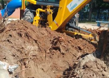 Prossegue retirada de árvore na Praça Diógenes Ribeiro de Lima com risco de queda iminente