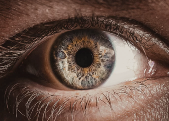  Fila para transplante de córnea no Brasil pode chegar a mais de 1 ano