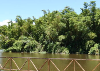 Prefeitura de Caraguatatuba faz chamamento de voluntários para atividades no Parque do Juqueriquerê