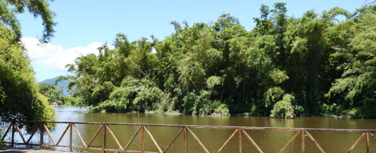 Prefeitura de Caraguatatuba faz chamamento de voluntários para atividades no Parque do Juqueriquerê